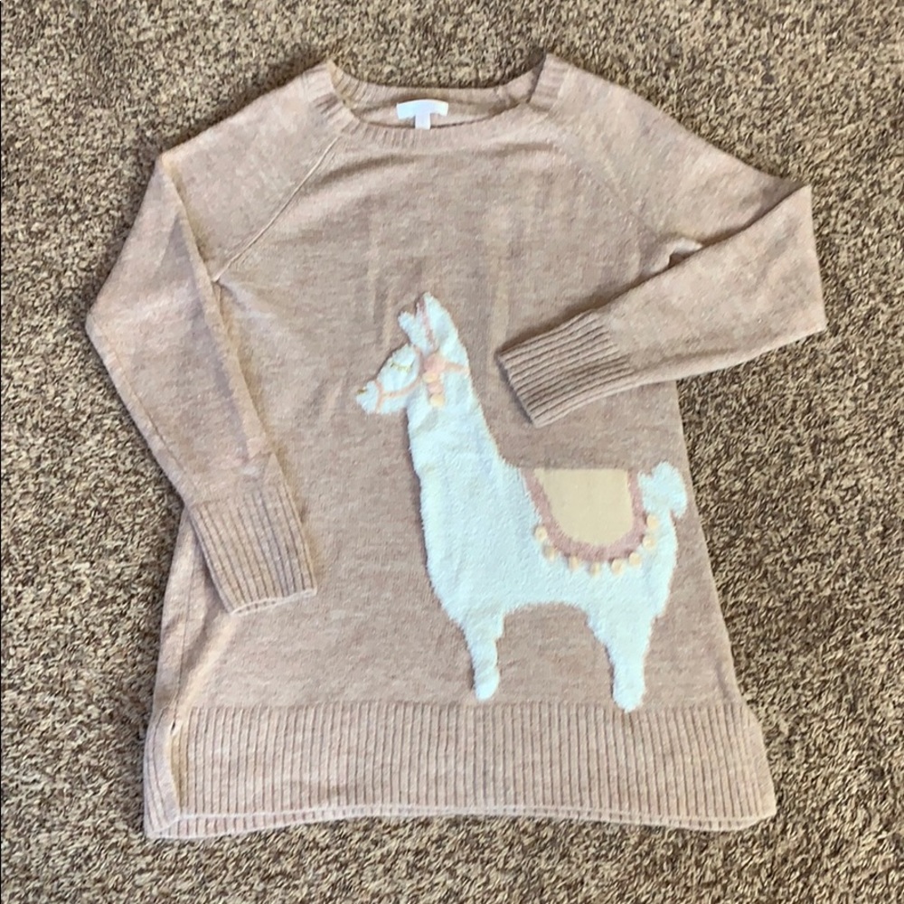 Llama sweater
